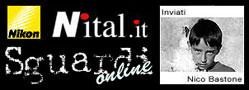 Nital 'Sguardi online'